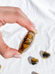Stromatolite Heart | Medium