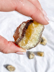 Septarian Natural | Small