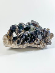 Smoky Quartz Cluster 745g