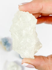 Harmony Duo: Celestite + Glass Apophyllite | Medium