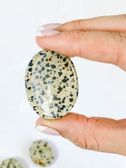 Dalmatian Jasper Worry Stone