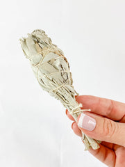 Organic White Sage | Small