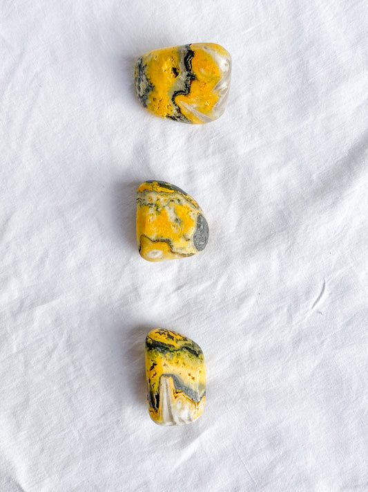 Bumble Bee Jasper Tumbles | Large