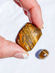 Tiger Eye Tumbles | Large