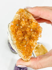 Meditation Divine Pair: Amethyst + Citrine | Large