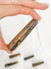Stromatolite Wand | Medium