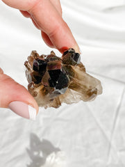 Balance Duo: Clear Quartz + Smoky Quartz | Medium