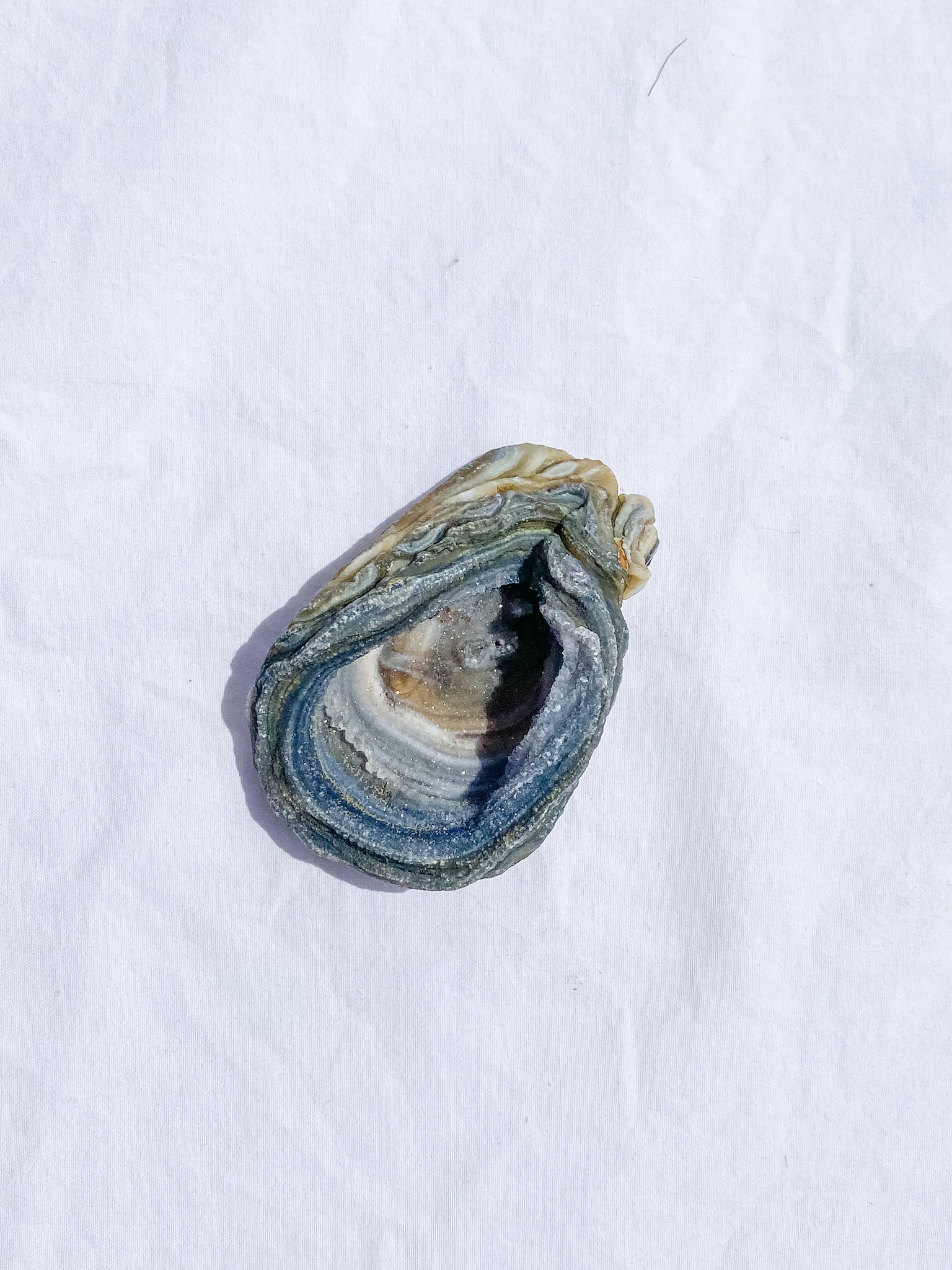 Agate Conchina Swirl 48g