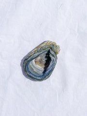 Agate Conchina Swirl 48g