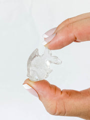 Clear Quartz Fish Carving