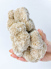 Desert Rose Selenite Cluster Statement Piece 957g