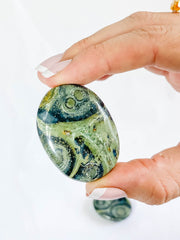 Kambaba/Crocodile Jasper Worry Stone