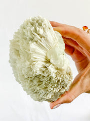 Scolecite with Apophyllite Cluster with Inclusions 852g