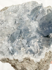 Celestite Cluster 4.5kg