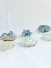 Harmony Duo: Celestite + Glass Apophyllite | Medium