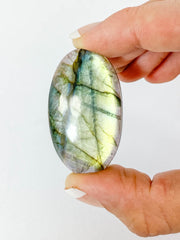 Labradorite Cabochon Oval | Medium
