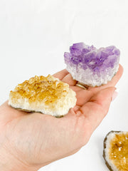 Meditation Divine Pair: Amethyst + Citrine | Large