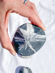 Chrysanthemum Natural Stone | X Large