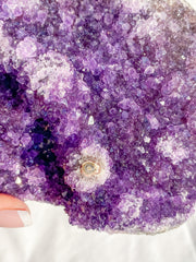 Amethyst CutBase Cluster with Druzy 1.3kg