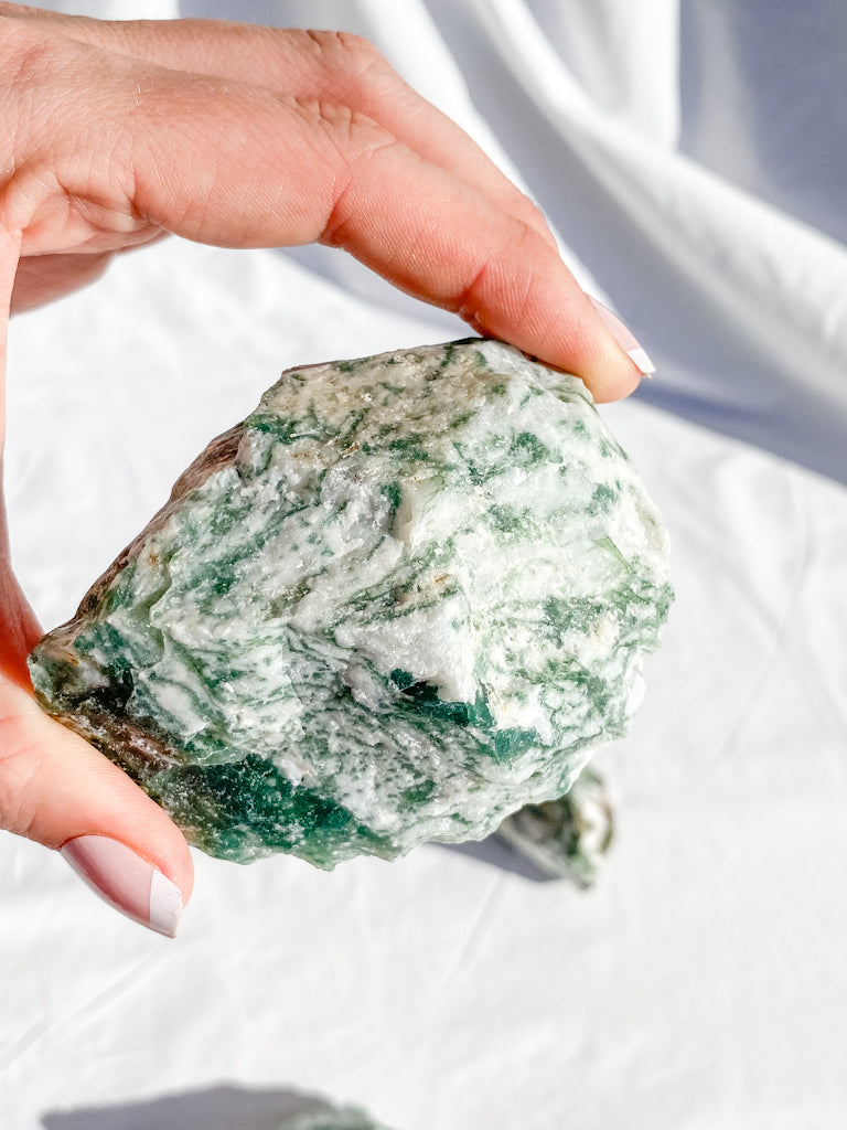 Tree Agate Natural | X Large
