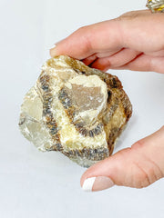 Septarian Naural | X Large