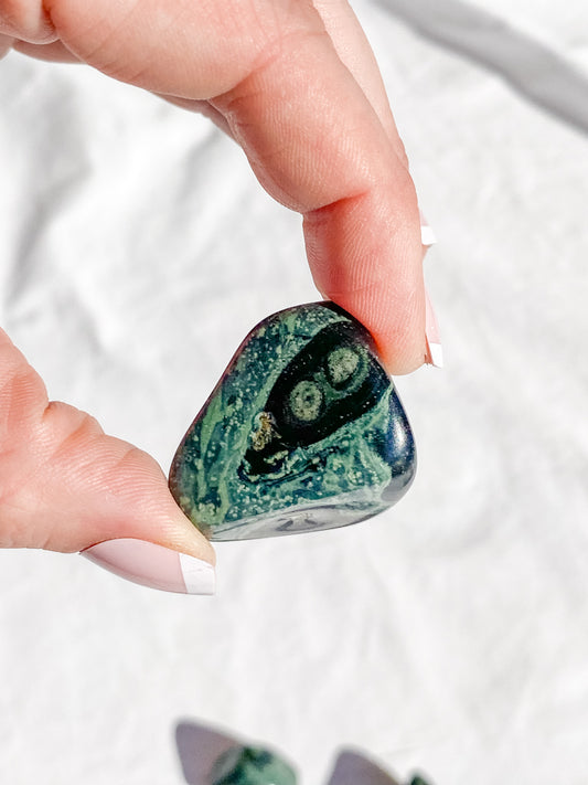 Crocodile Jasper [Kambaba] Tumbles | Medium