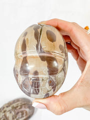 Zebra Stone Scarab Beetle Carving