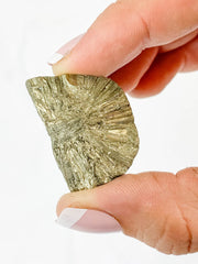 Pyrite Flower Mineral Specimen 30g