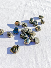 Pyrite Tumbles | Mini