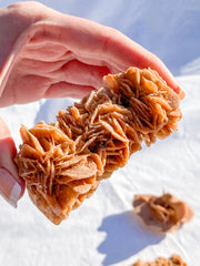 Desert Rose Selenite