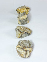 Septarian Natural | Large
