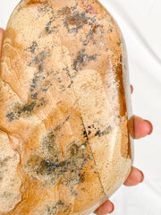 Picture Jasper Polished CutBase 1.4kg