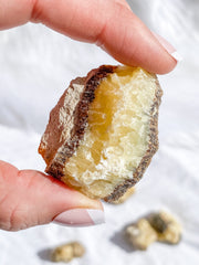 Septarian Natural | Small