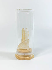 Glass Display | Dome