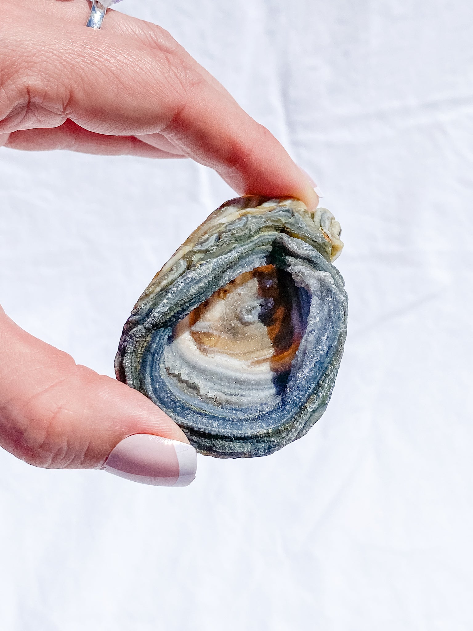 Agate Conchina Swirl 48g