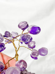 Wire Tree Amethyst on Amethyst Base