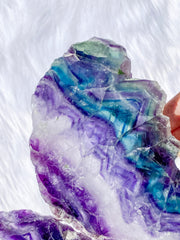 Fluorite Fairy Wings Pair 1.1kg