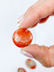 Red Coral | Mini