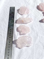 Rose Quartz Natural | Small