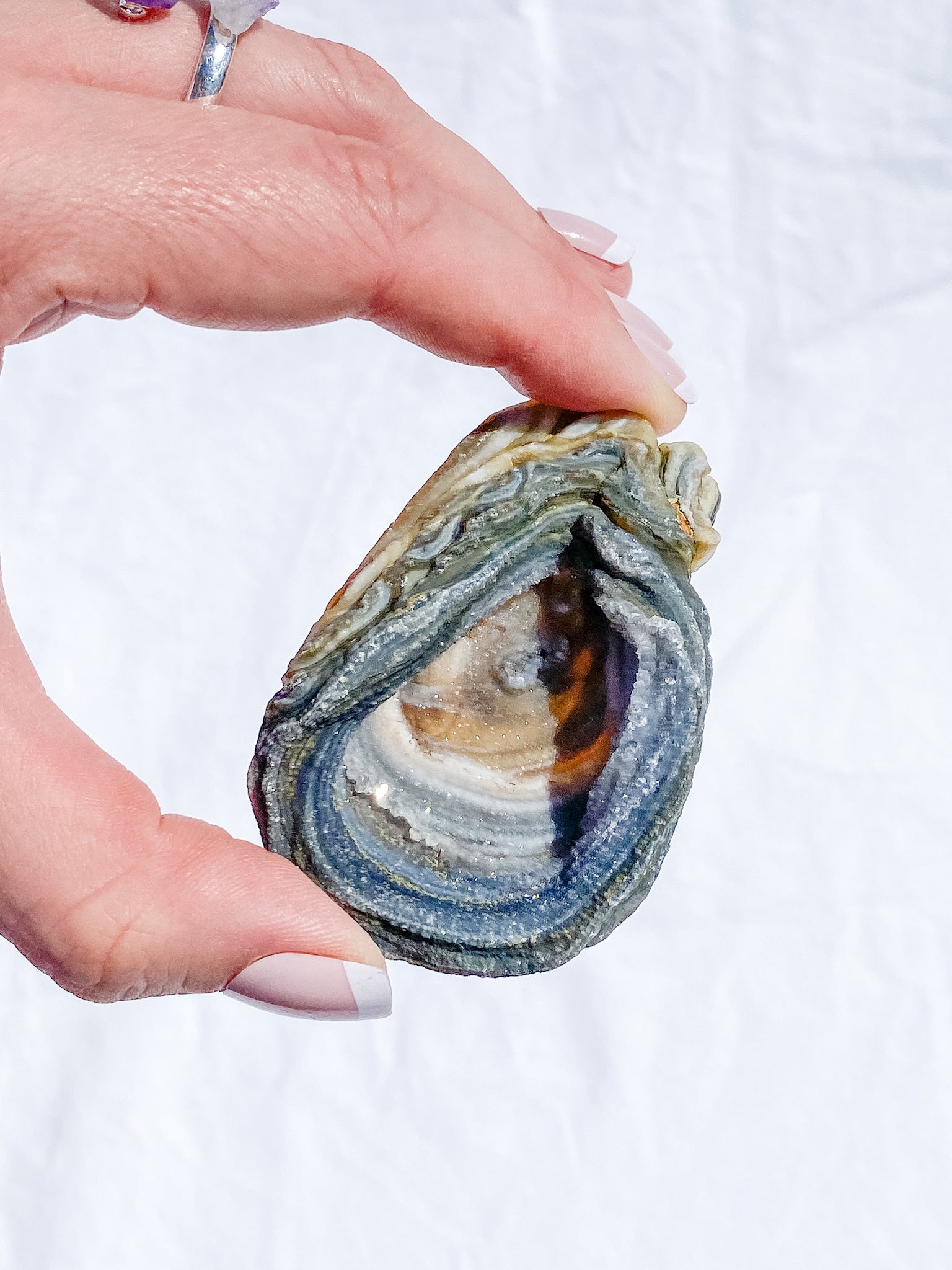 Agate Conchina Swirl 48g