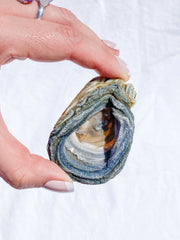 Agate Conchina Swirl 48g