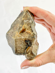 Smoky Quartz with Actinolite Elestial Natural Mineral Specimen 311g
