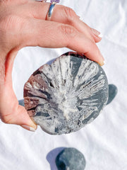 Chrysanthemum Natural Stone | Large