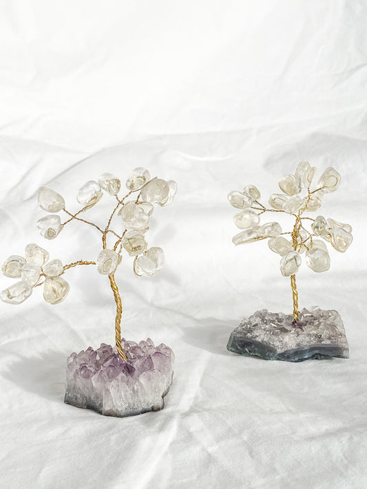 Wire Tree Clear Quartz on Amethyst Base