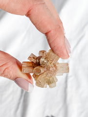 Aragonite Sputnik White | X Small