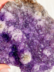 Amethyst CutBase Cluster with Druzy 1.3kg