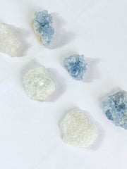 Harmony Duo: Celestite + Glass Apophyllite | Medium