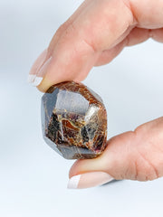Garnet Free Form Polished Tumbles | X Large