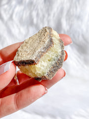 Septarian Natural | Small