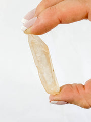 Golden Healer Natural Point 11g
